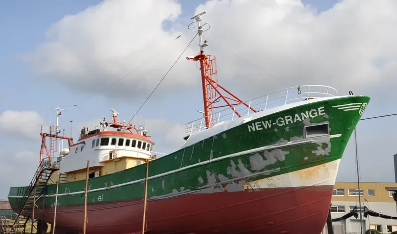 NEW GRANGE General Cargo IMO 7325320 photo 8