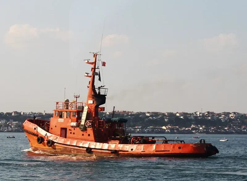 VASYL FRANKO General Cargo IMO 7325954