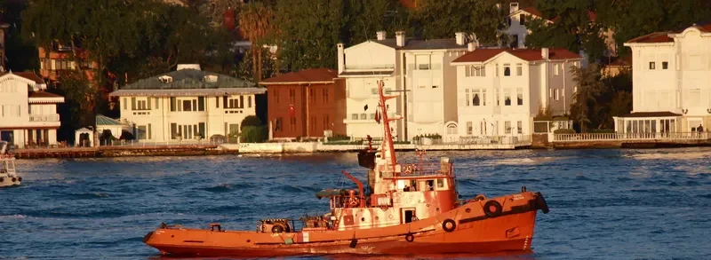 VASYL FRANKO General Cargo IMO 7325954 photo 2