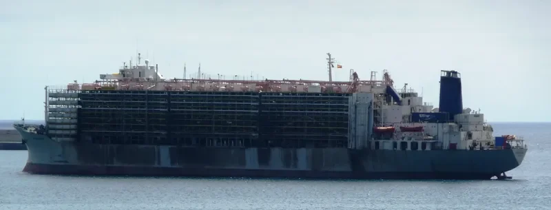 MAWASHI EXPRESS General Cargo IMO 7326893