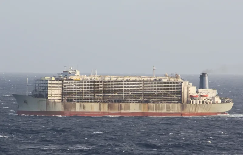 MAWASHI EXPRESS General Cargo IMO 7326893 photo 4