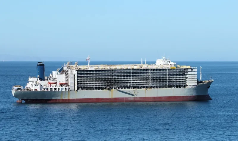 MAWASHI EXPRESS General Cargo IMO 7326893 photo 5