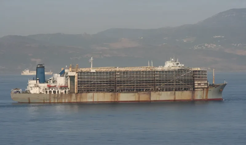 MAWASHI EXPRESS General Cargo IMO 7326893 photo 8