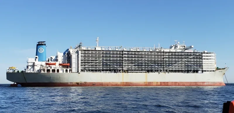 MAWASHI EXPRESS General Cargo IMO 7326893 photo 9