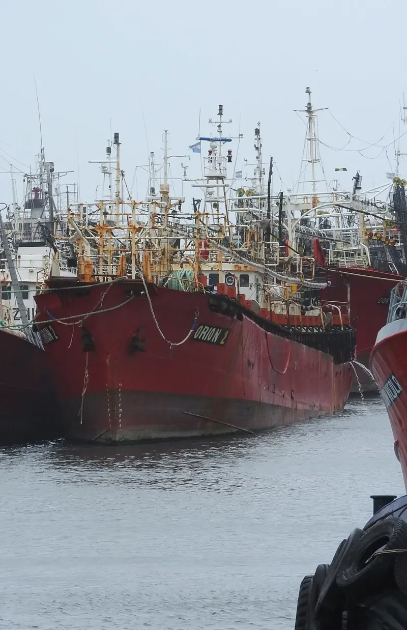 ORYONG NO.32 General Cargo IMO 7327794 photo 3