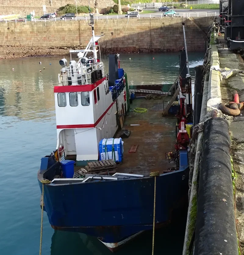 GRIMA Ro-Ro IMO 7328205 photo 2