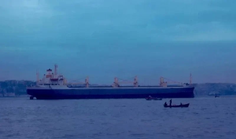 ISPARTA Bulk Carrier IMO 7328683