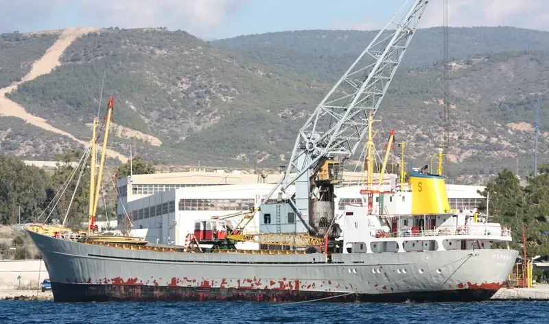 RAFAEL Bulk Carrier IMO 7328853 photo 7