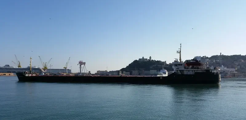 SORMOVSKIY 32 General Cargo IMO 7329144 photo 3
