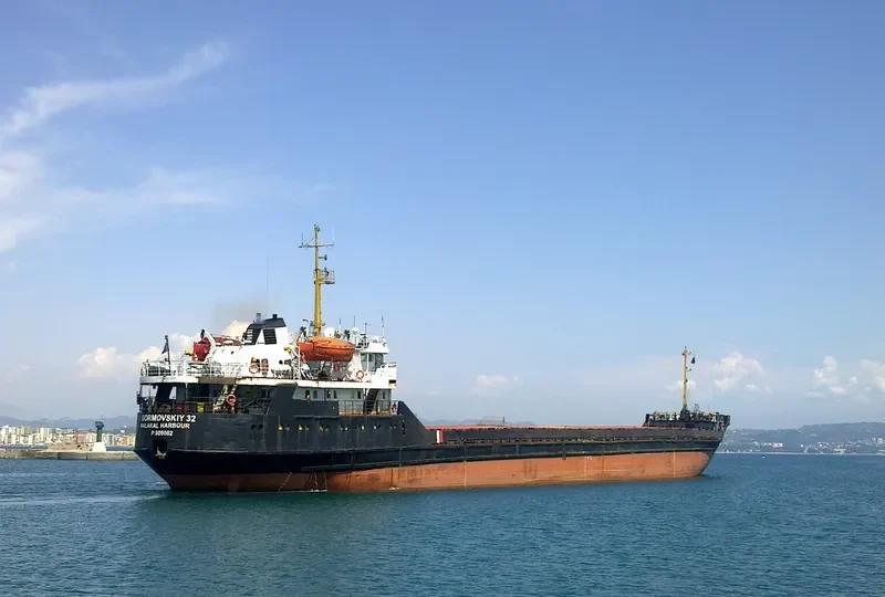 SORMOVSKIY 32 General Cargo IMO 7329144 photo 5
