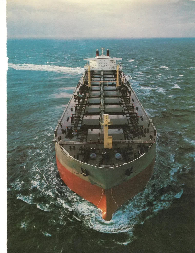 ACHILEUS Bulk Carrier IMO 7330258 photo 2