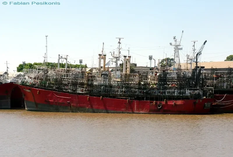PATAWONIA 1 General Cargo IMO 7331628