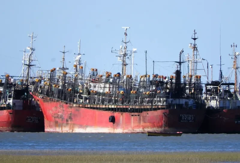 PATAWONIA 1 General Cargo IMO 7331628 photo 4