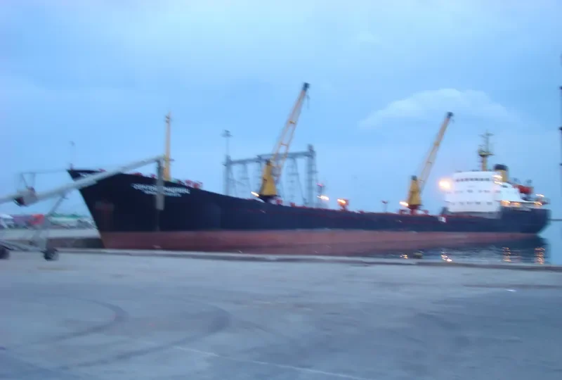 SERGEY GRITSEVETS General Cargo IMO 7332426 photo 2