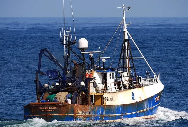 SUMMER DAWN Offshore Vessel IMO 7332452 photo 4