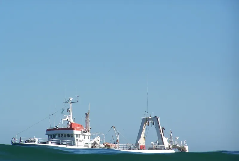 SVEINN JONSSON General Cargo IMO 7332476 photo 5