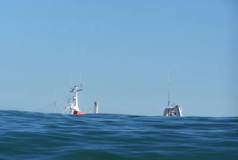 SVEINN JONSSON General Cargo IMO 7332476 photo 6
