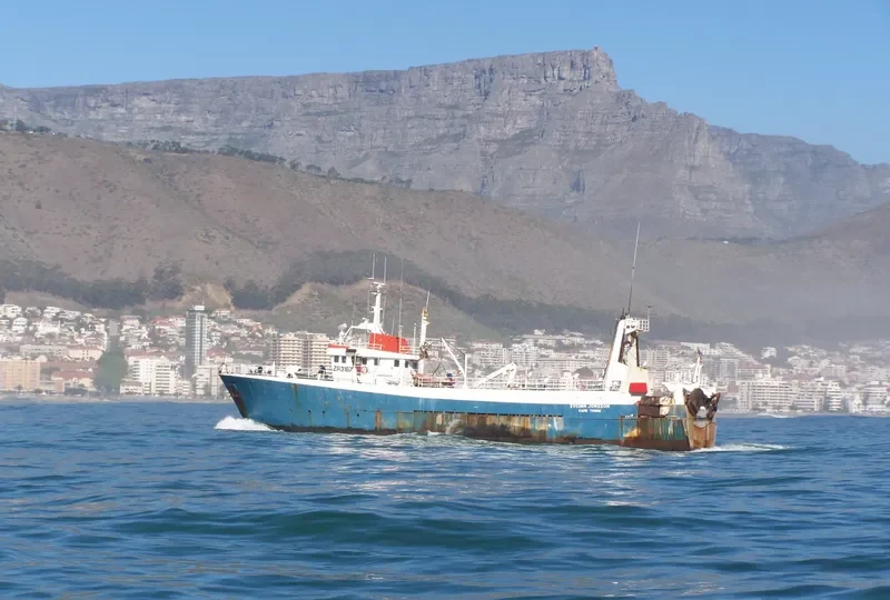 SVEINN JONSSON General Cargo IMO 7332476 photo 7