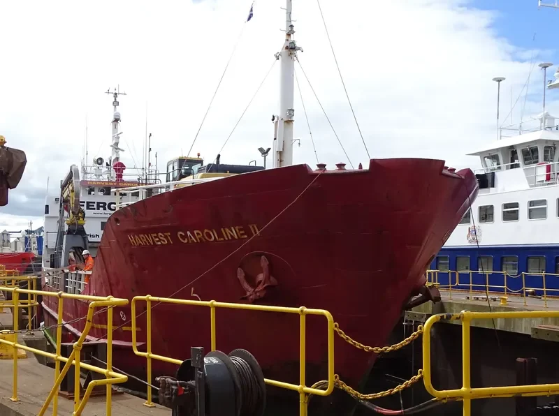 CANOLE General Cargo IMO 7332787 photo 5