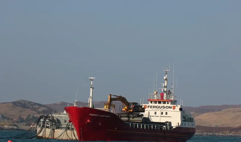CANOLE General Cargo IMO 7332787 photo 8