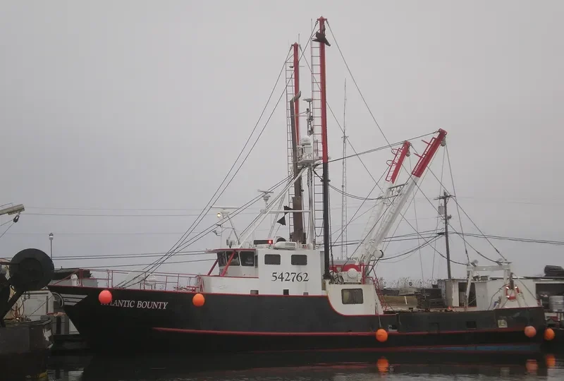 ATLANTIC BOUNTY General Cargo IMO 7333171