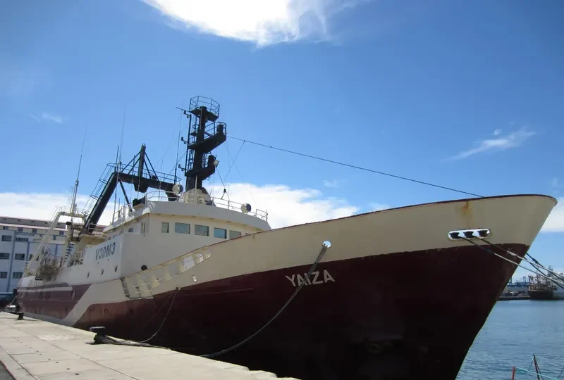 YAIZA General Cargo IMO 7333200 photo 3