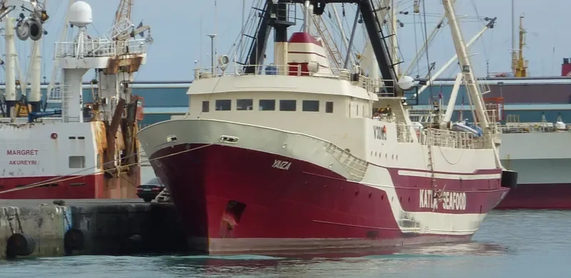 YAIZA General Cargo IMO 7333200 photo 8
