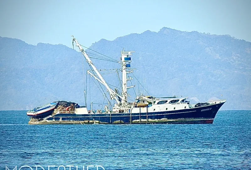 ORINOCO II General Cargo IMO 7333250 photo 2