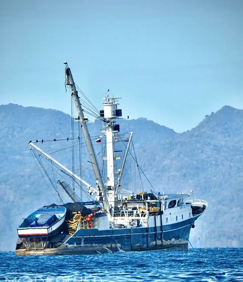 ORINOCO II General Cargo IMO 7333250 photo 3
