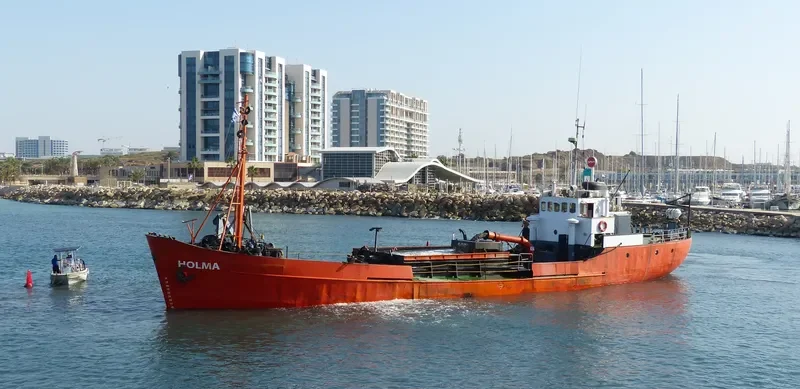 HOLMA General Cargo IMO 7333327 photo 2