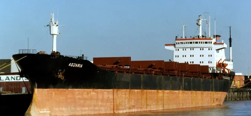 SONG GANG Bulk Carrier IMO 7333418 photo 5
