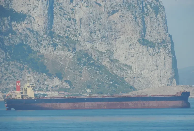 HANJIN NEWCASTLE Bulk Carrier IMO 7333767