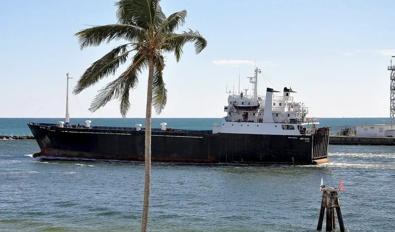 TAURUS Ro-Ro IMO 7334125 photo 2