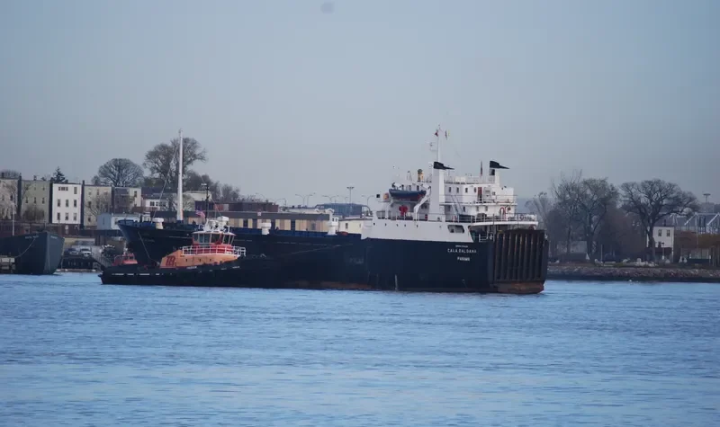 TAURUS Ro-Ro IMO 7334125 photo 3