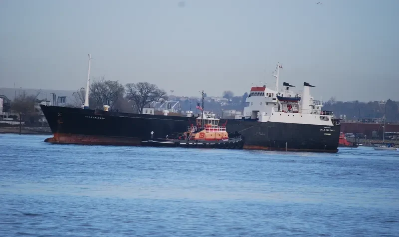 TAURUS Ro-Ro IMO 7334125 photo 4