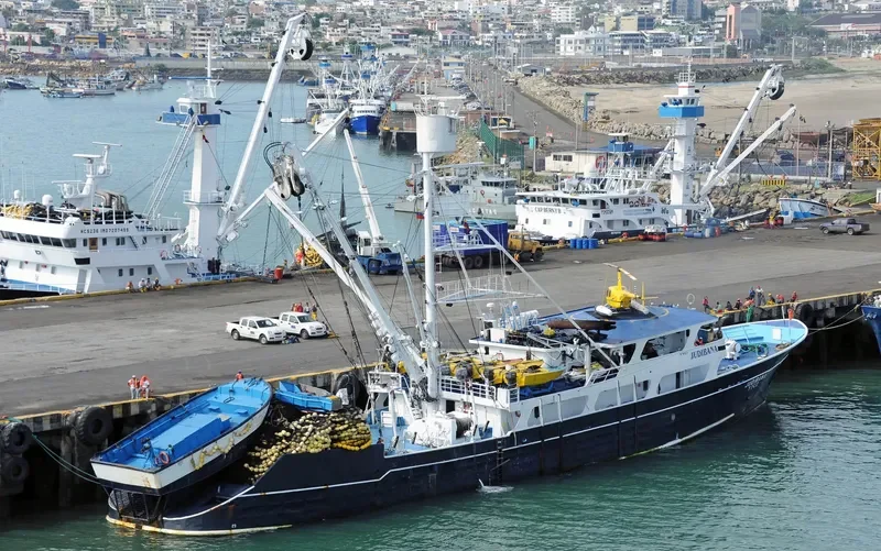 JUDIBANA General Cargo IMO 7334280 photo 2