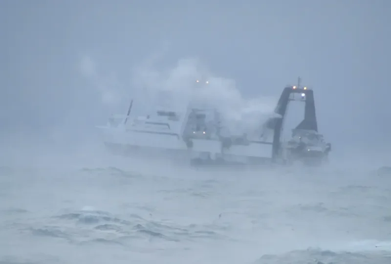 NORTHERN JAEGER General Cargo IMO 7334826 photo 4