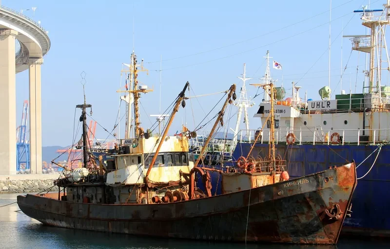 KINKIL General Cargo IMO 7336032 photo 2