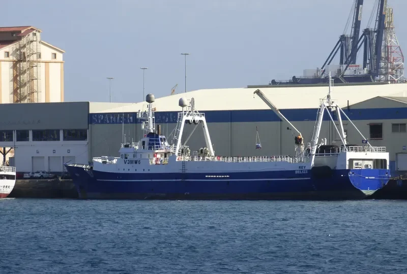 REY General Cargo IMO 7336563