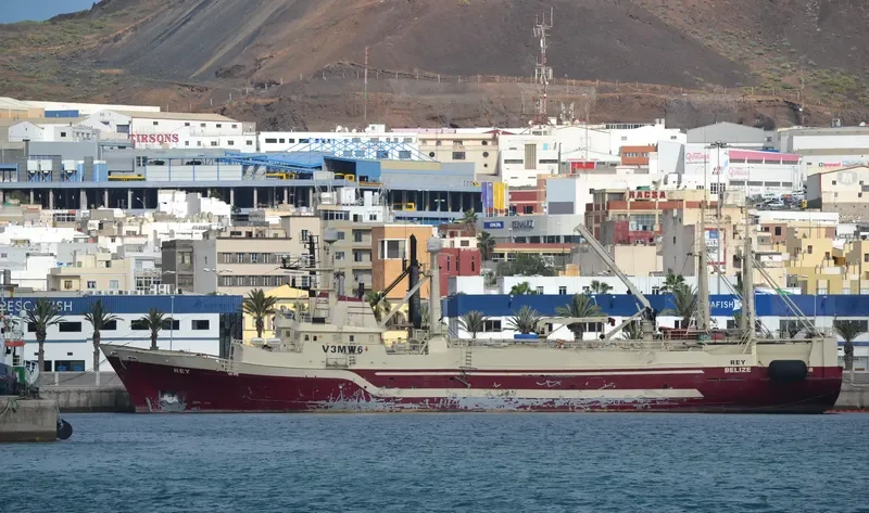 REY General Cargo IMO 7336563 photo 7