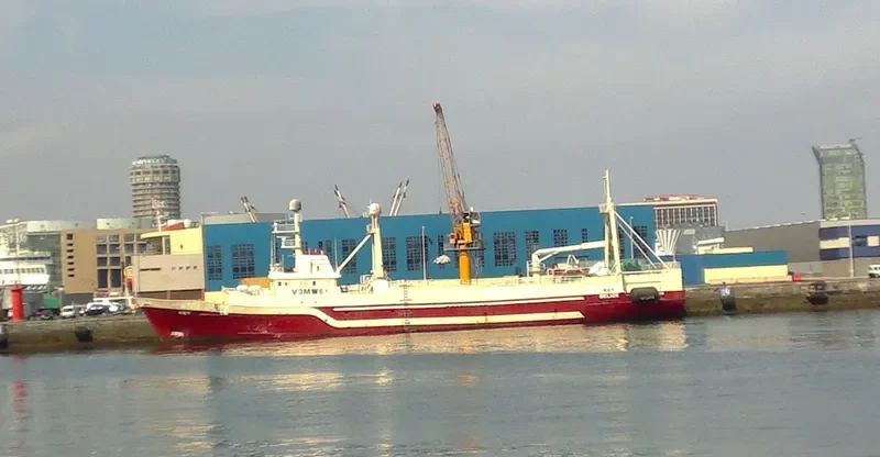 REY General Cargo IMO 7336563 photo 10