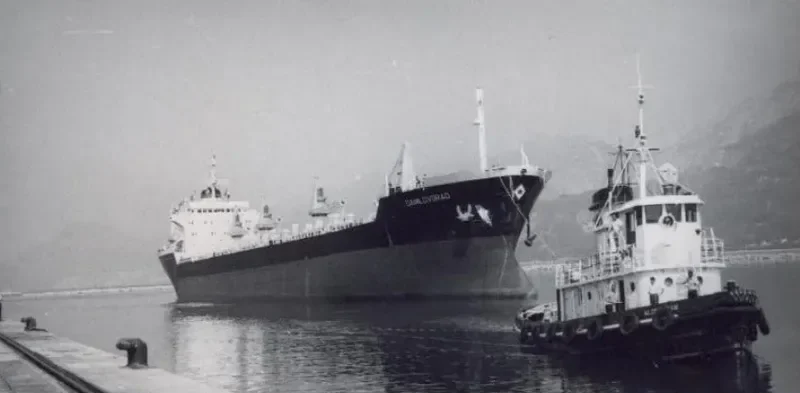 EXPRESS LEADER Bulk Carrier IMO 7336604