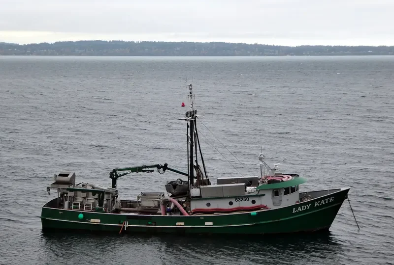 LADY KATE General Cargo IMO 7336850 photo 3