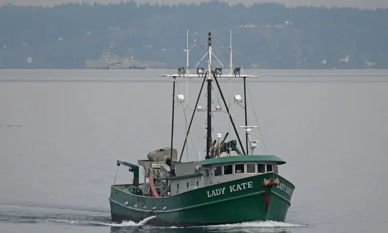 LADY KATE General Cargo IMO 7336850 photo 5