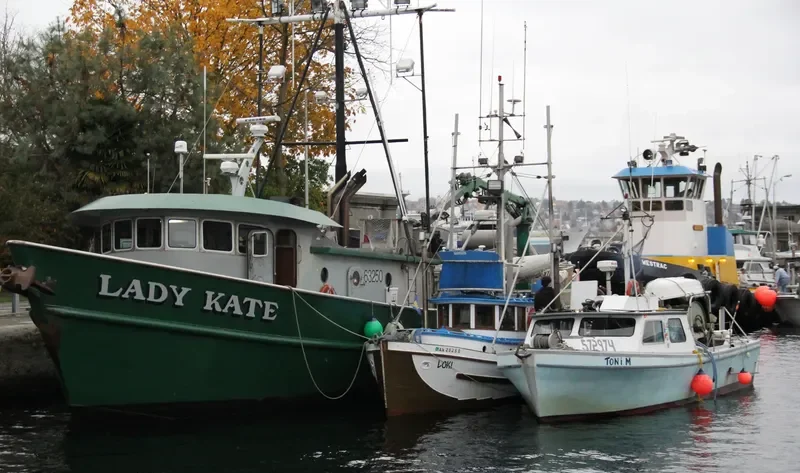 LADY KATE General Cargo IMO 7336850 photo 8