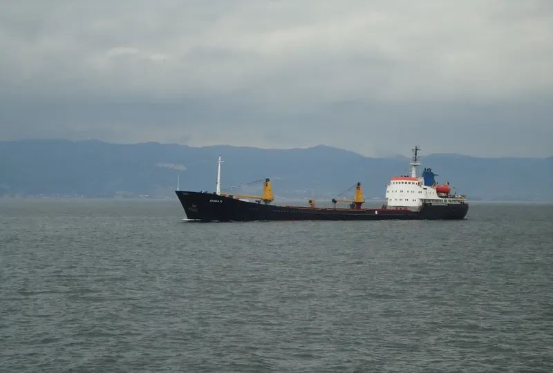 ZEHRA II General Cargo IMO 7337311 photo 2