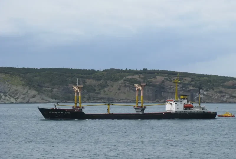 VYACHESLAV ILYIN General Cargo IMO 7337725