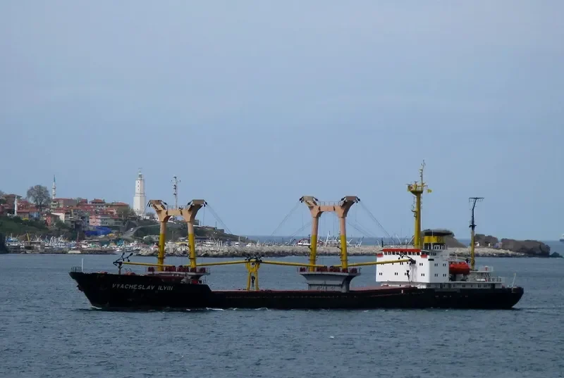 VYACHESLAV ILYIN General Cargo IMO 7337725 photo 2