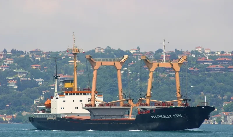 VYACHESLAV ILYIN General Cargo IMO 7337725 photo 9
