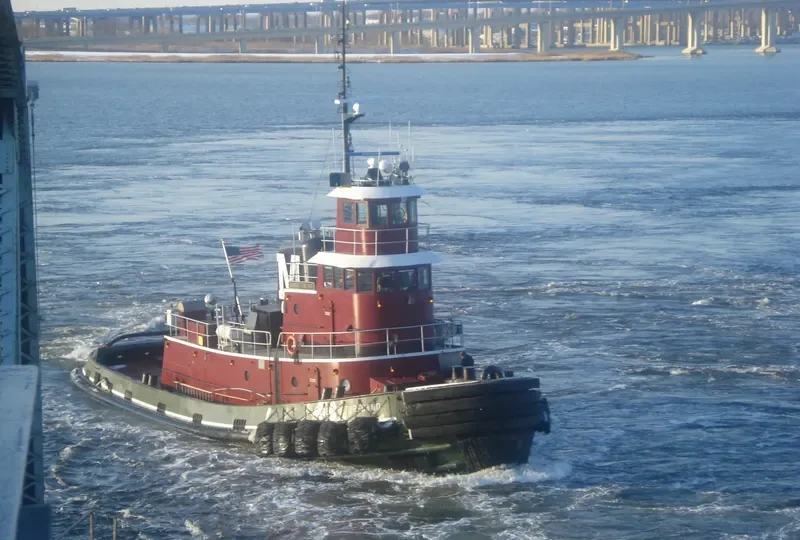 MARIE J.TURECAMO General Cargo IMO 7337880 photo 10